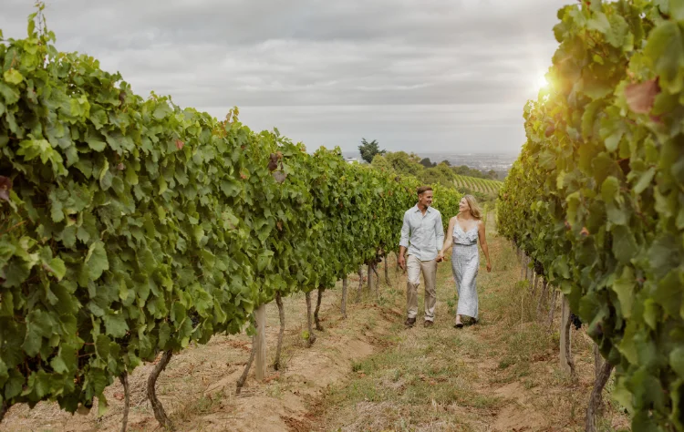 Mendoza_ Wine, Wellness, and the Art of Slowing Down
