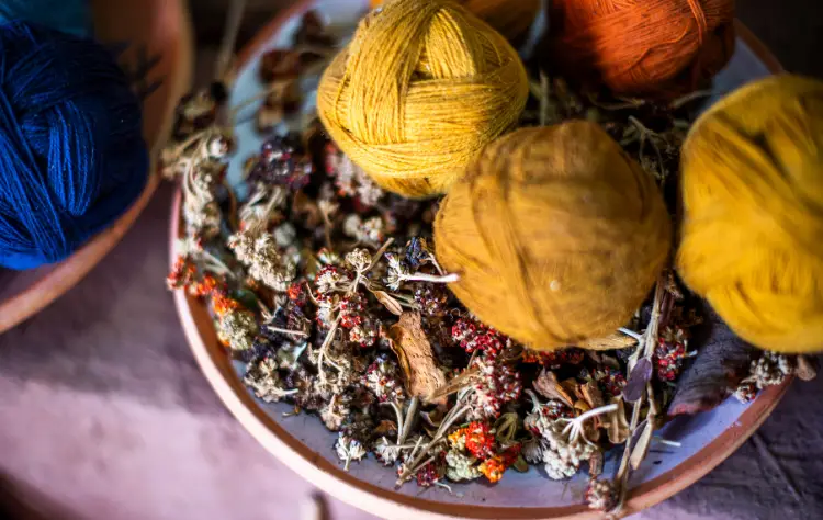 Traveling with Purpose