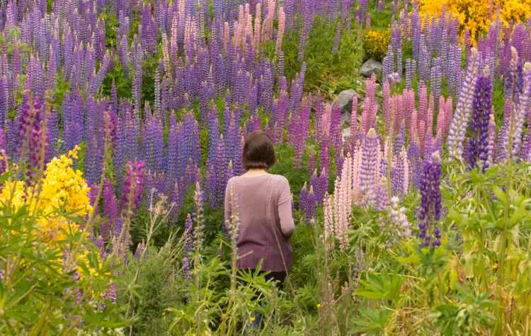 Understanding the Seasons in Patagonia