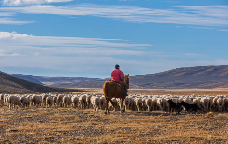 Wander Patagonia_ Where the Earth Still Breathes Wild