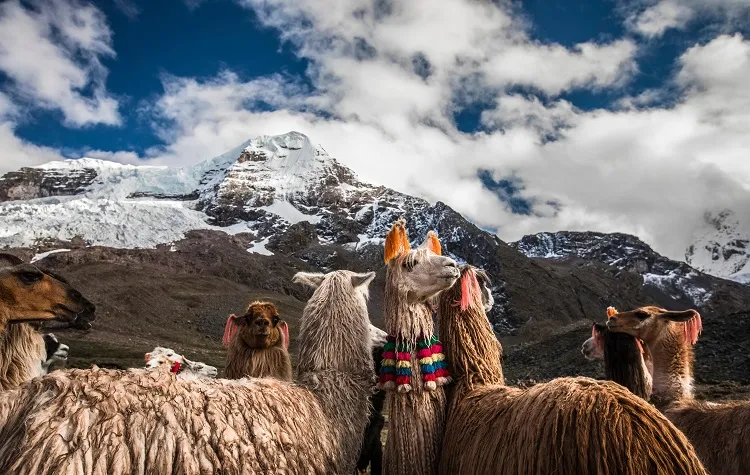 Ausangate Trek High-Altitude Majesty