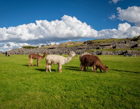 Jhon M Travel review