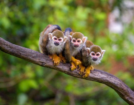 John F Travel review