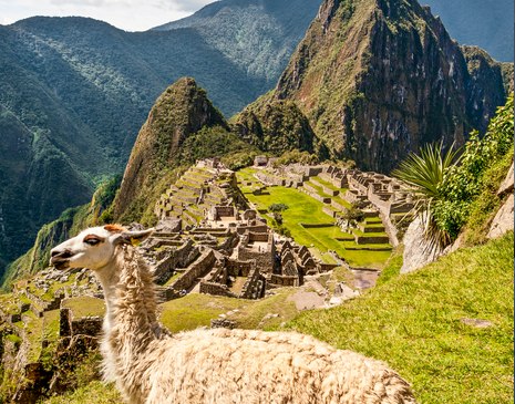 Lindsay S Travel review