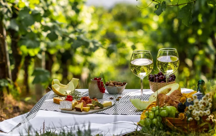 Wine Country in Mendoza, Argentina