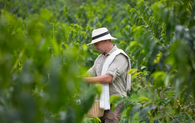 Boutique Luxury in Emerging Destinations Argentina Salta and Jujuy