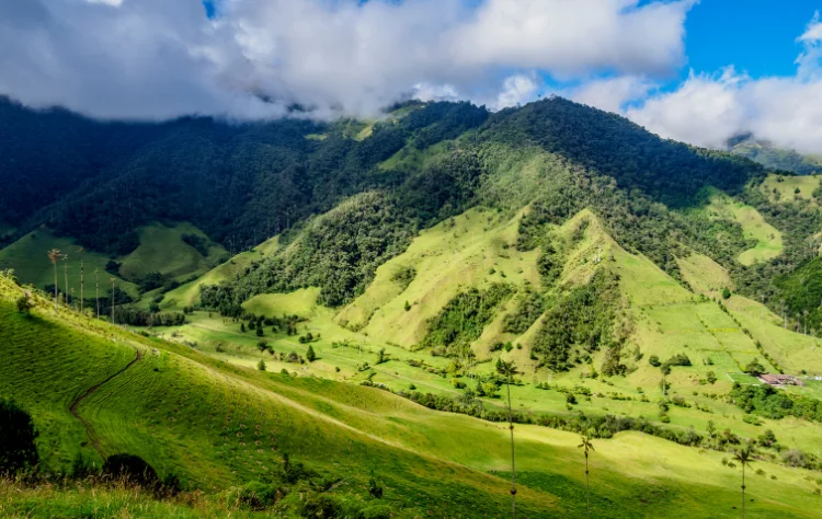 Colombia_ Hidden Charms Beyond Cartagena
