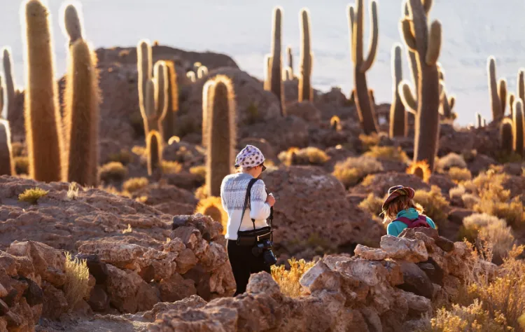 Highlights of an Uyuni Salt Flats Tour
