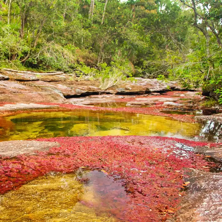 Serrania Colombia destination