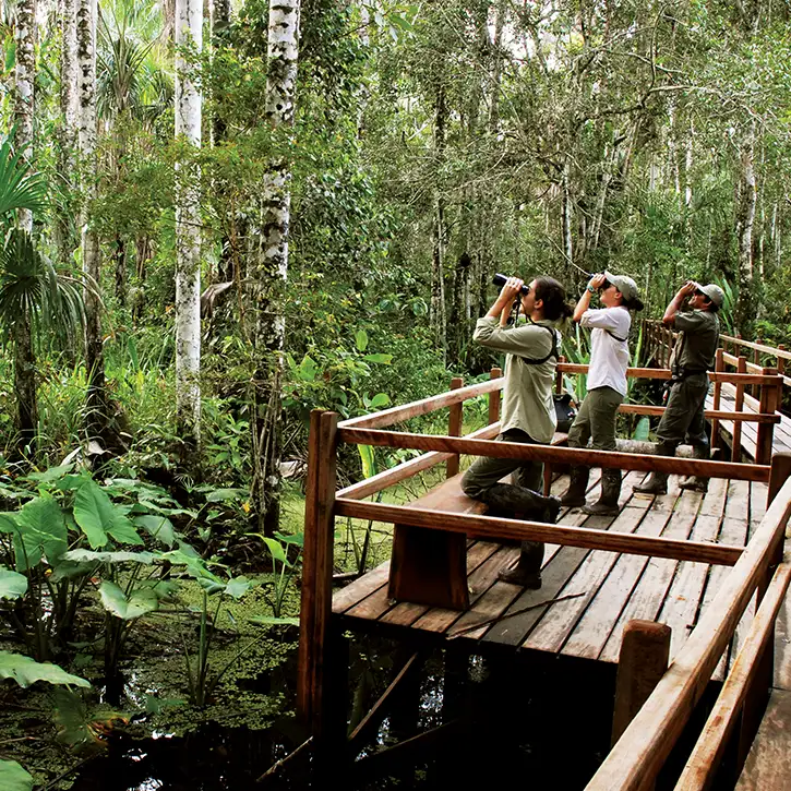 Tambopata Peru Destination