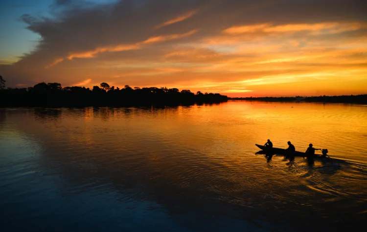5. Explore the Amazon Rainforest