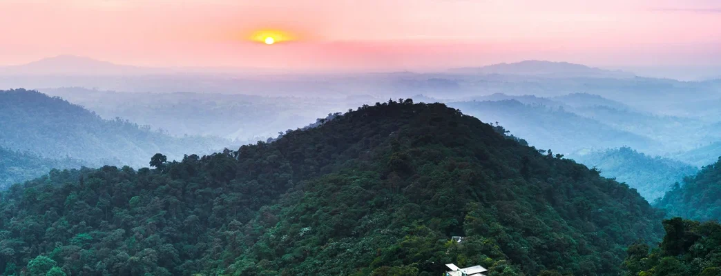 Cloud Forest Ecuador