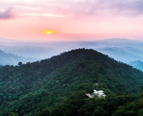 Cloud Forest Ecuador