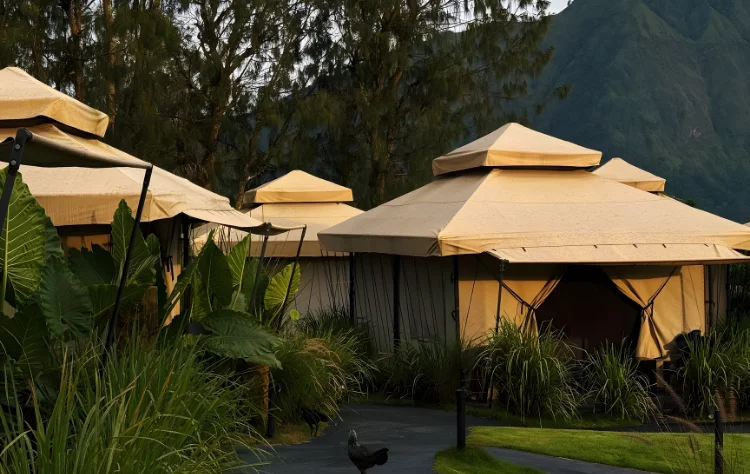 Designing a Stay Within the Cloud Forest