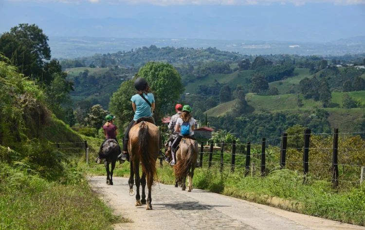 The Coffee Region_ A Slower Rhythm and Green Horizons