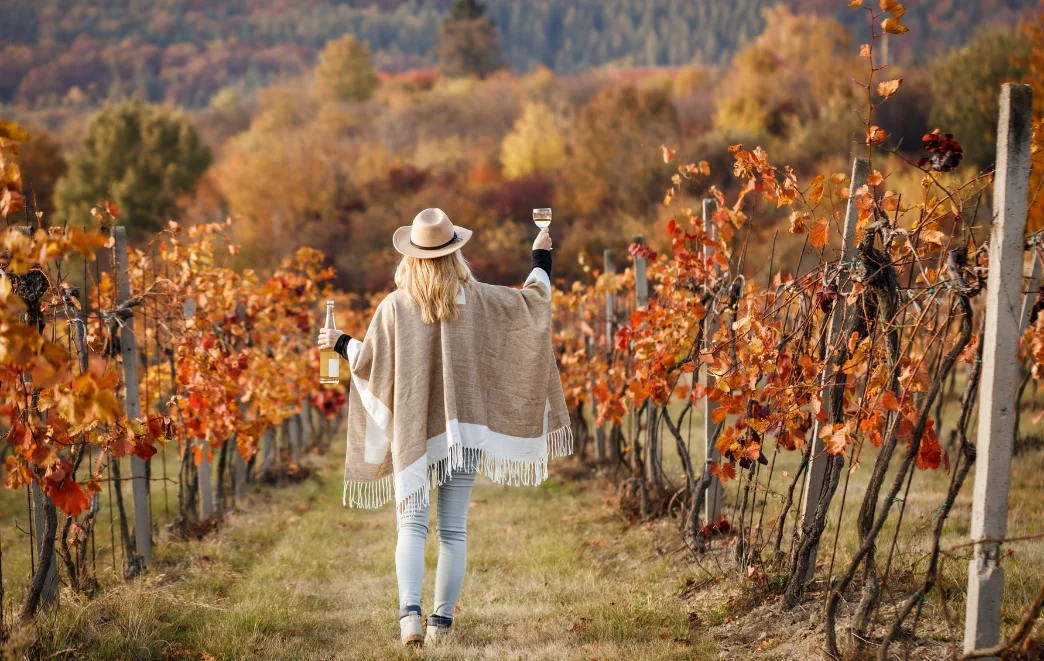 The Most Meaningful Things to Do in Argentina A Luxury Traveler’s Guide