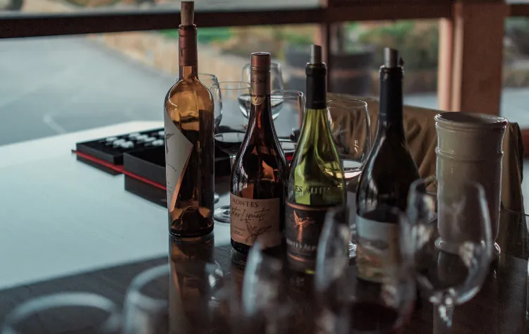 Where to Find the Best Vineyard Tours in South America