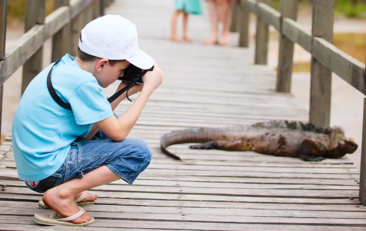 Choosing the Right Way to Explore the Islands