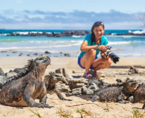 Galápagos Islands Animals