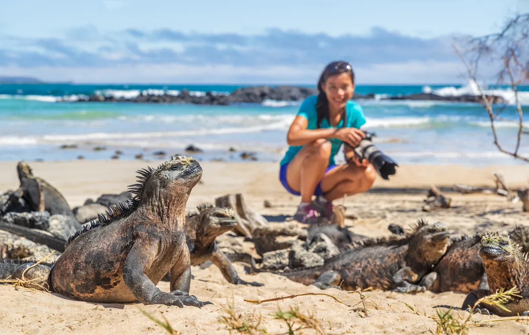 Galápagos Islands Animals