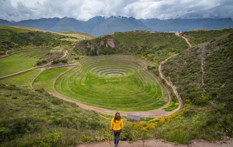 Pairing Maras With Moray