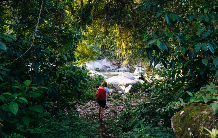 Reaching the Lost City the Kuoda Way