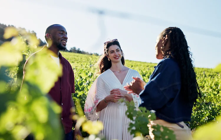 The Coffee Region_ Landscape, Craft, and Rhythm