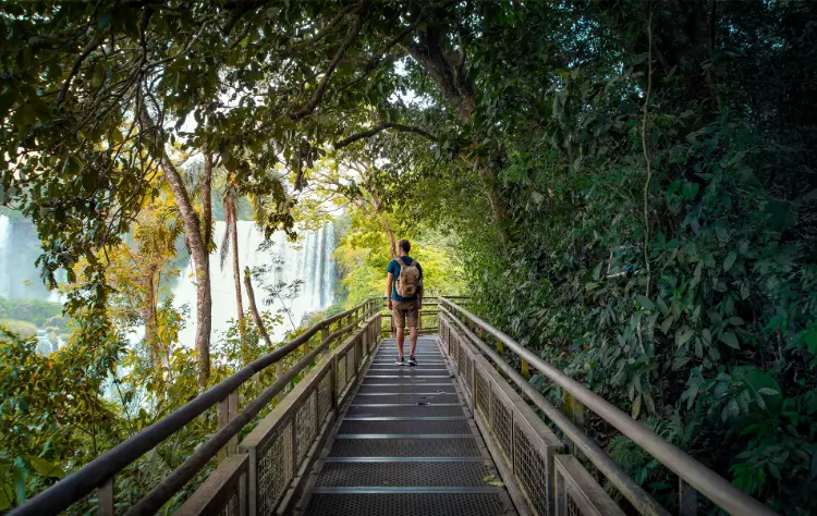 A Borderland Shaped by Water and Forest