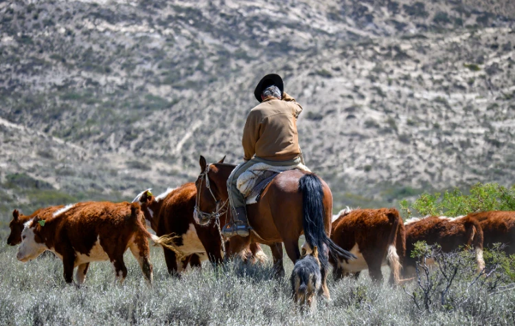 A Landscape Defined by Continuity