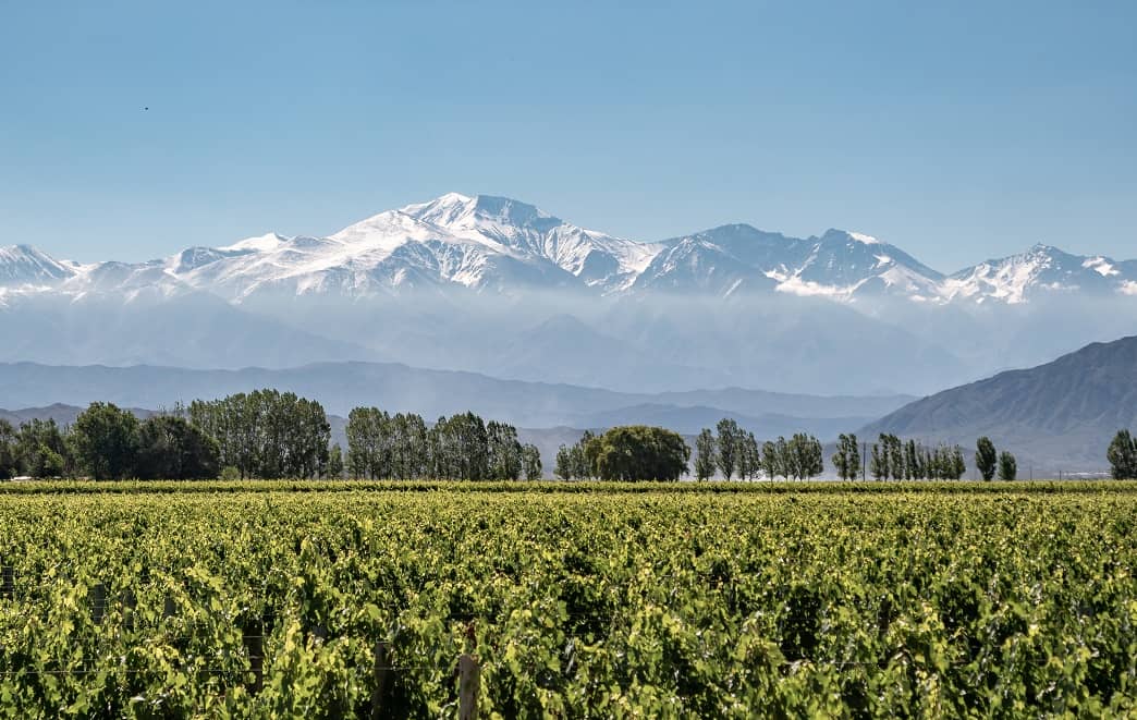 A Mendoza Wine Trip Shaped by Landscape, Craft, and Time