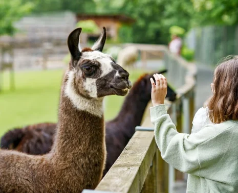 A Peru Family Trip Designed for Curiosity, Comfort, and Shared Perspective