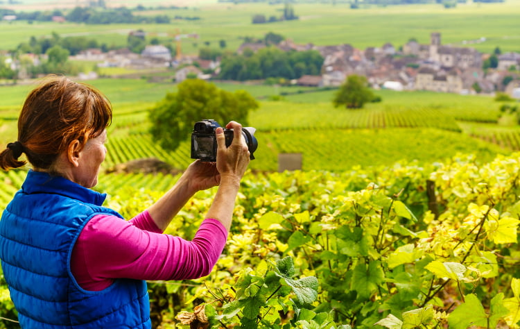 Accommodations That Reflect Simplicity and Refinement