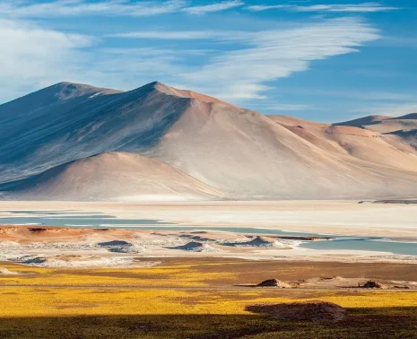 Atacama Desert Trip Learning to Pay Attention in a Landscape of Extremes
