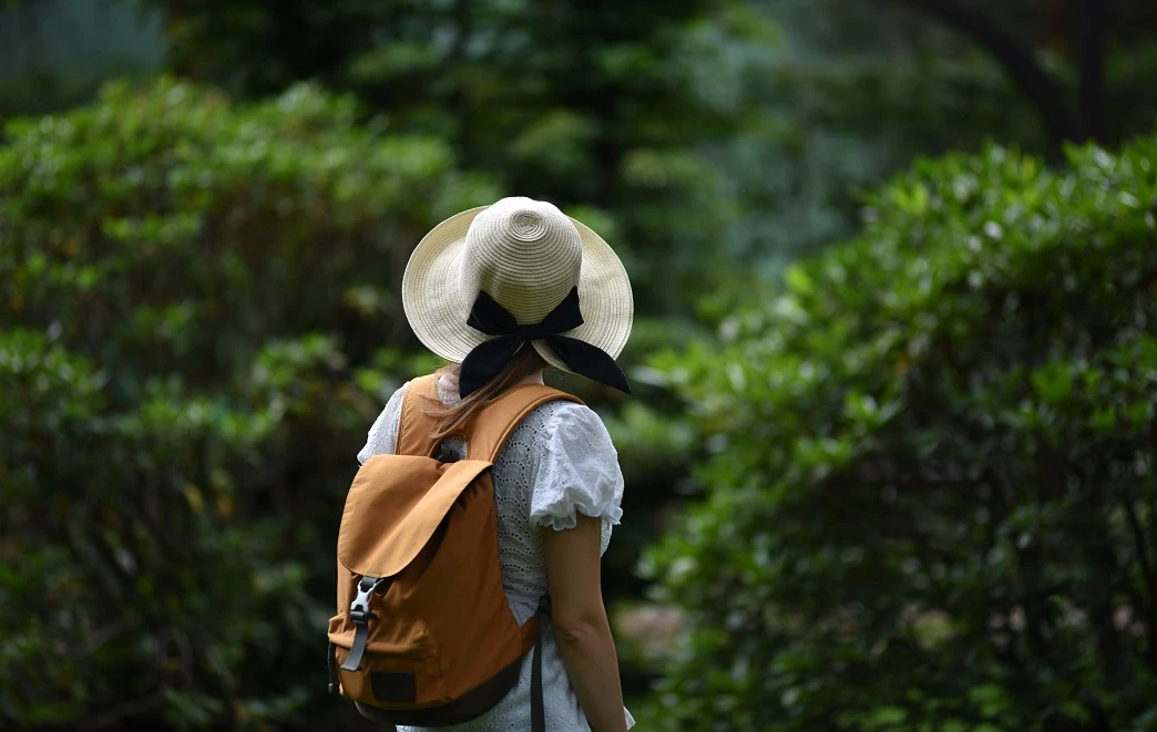 Colombia Amazon Trip Entering a Landscape That Teaches Through Stillness