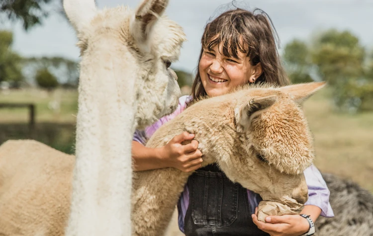 Context Before Highlights