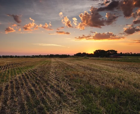 Explore the Pampas Argentina