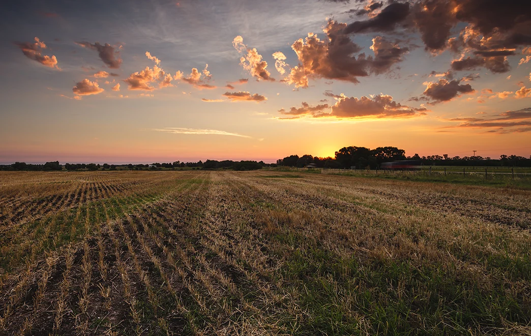Explore the Pampas Argentina