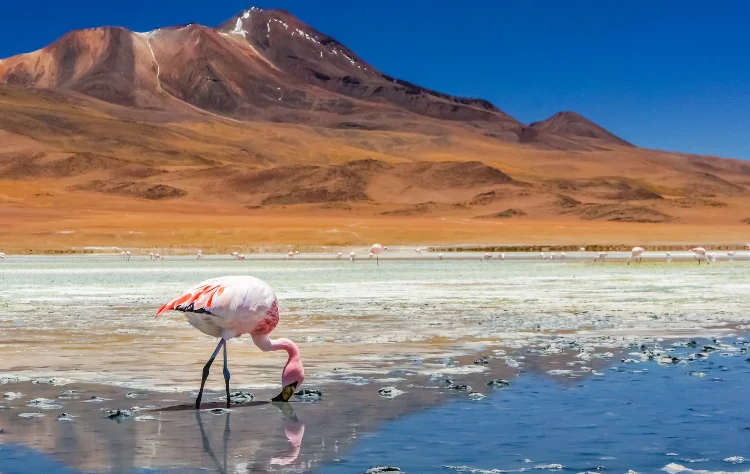 Landscape as a System, Not a Series of Stops