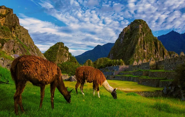 Respecting a Fragile Site