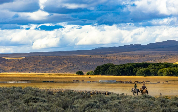 Stewardship land and Responsibility