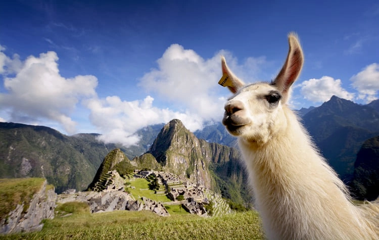 What It Means to Visit Machu Picchu Well