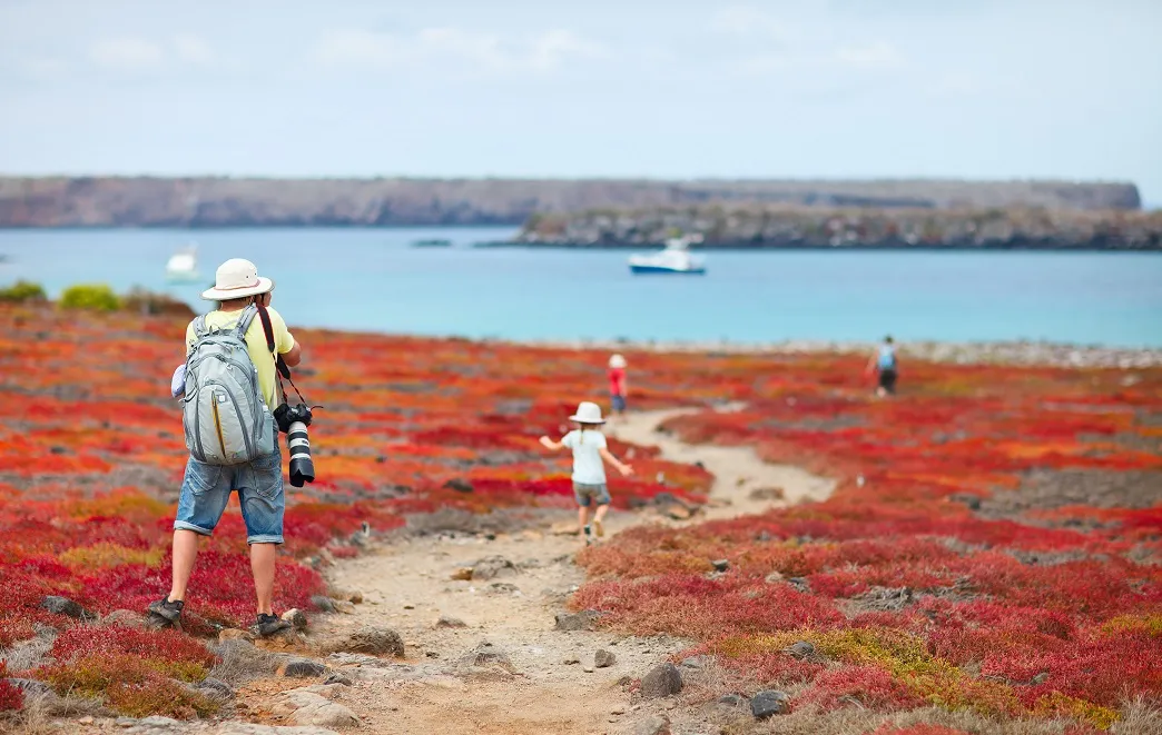 Best Galápagos Tour Why Design, Scale, and Context Matter More Than Choice