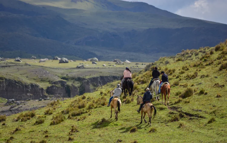 Beyond the Islands_ Ecuador as Context