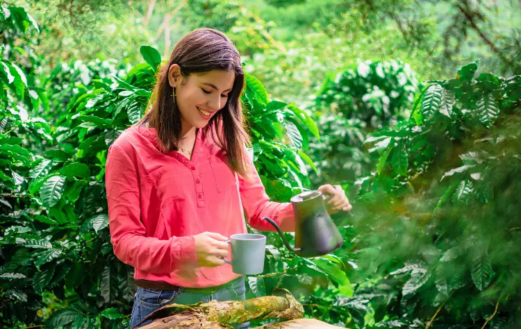 Medellín Within the Broader Colombian Landscape