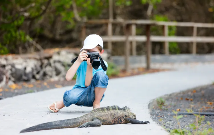 Wildlife Encounters That Feel Unscripted