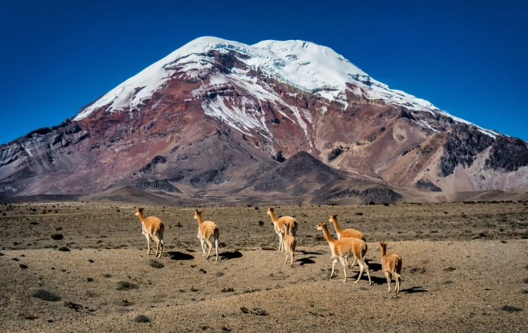Chimborazo Height and Horizon