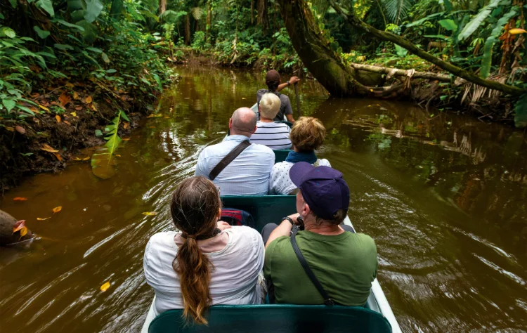 Optional Amazon Extension