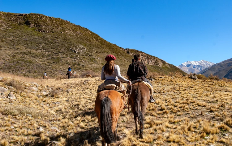 Pairing Wine With Landscape