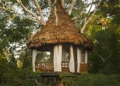 Amazon Rainforest Luxury Lodges
