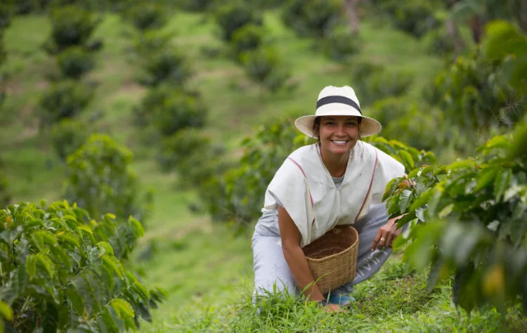 Coffee as Process, Not Product